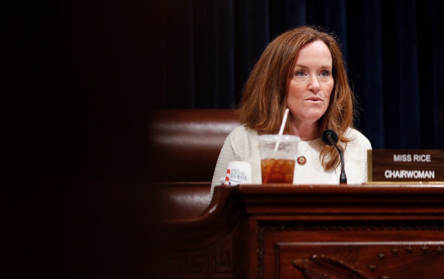 Kathleen Rice at Hearing