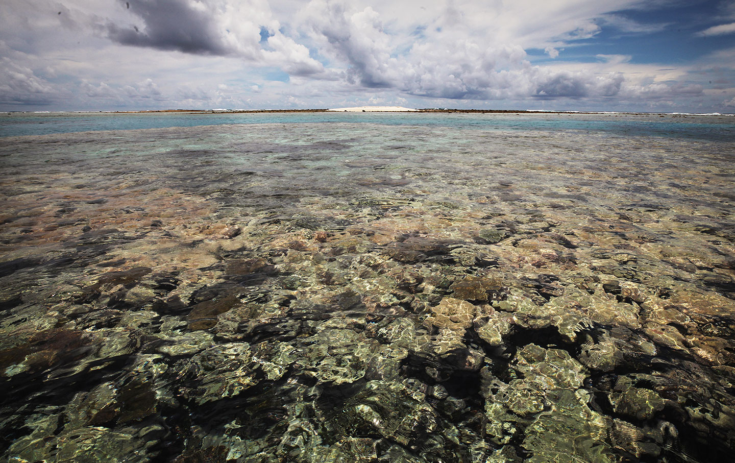 The coast of Tuvalu