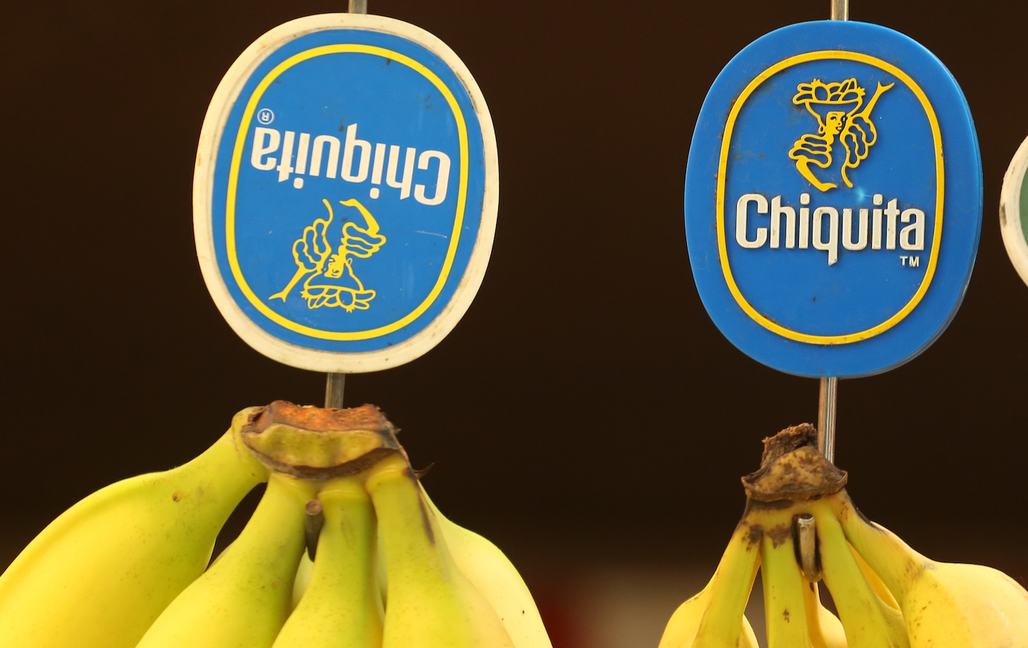 chiquita/united fruit