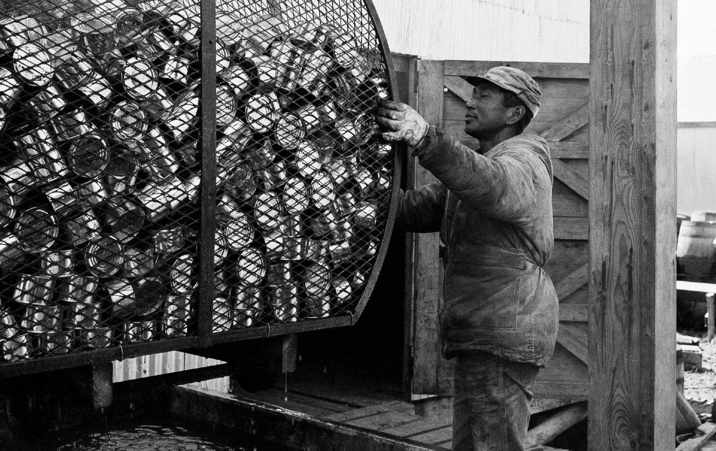 Alaska cannery