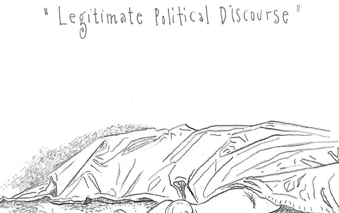 Hairballs in Turtles