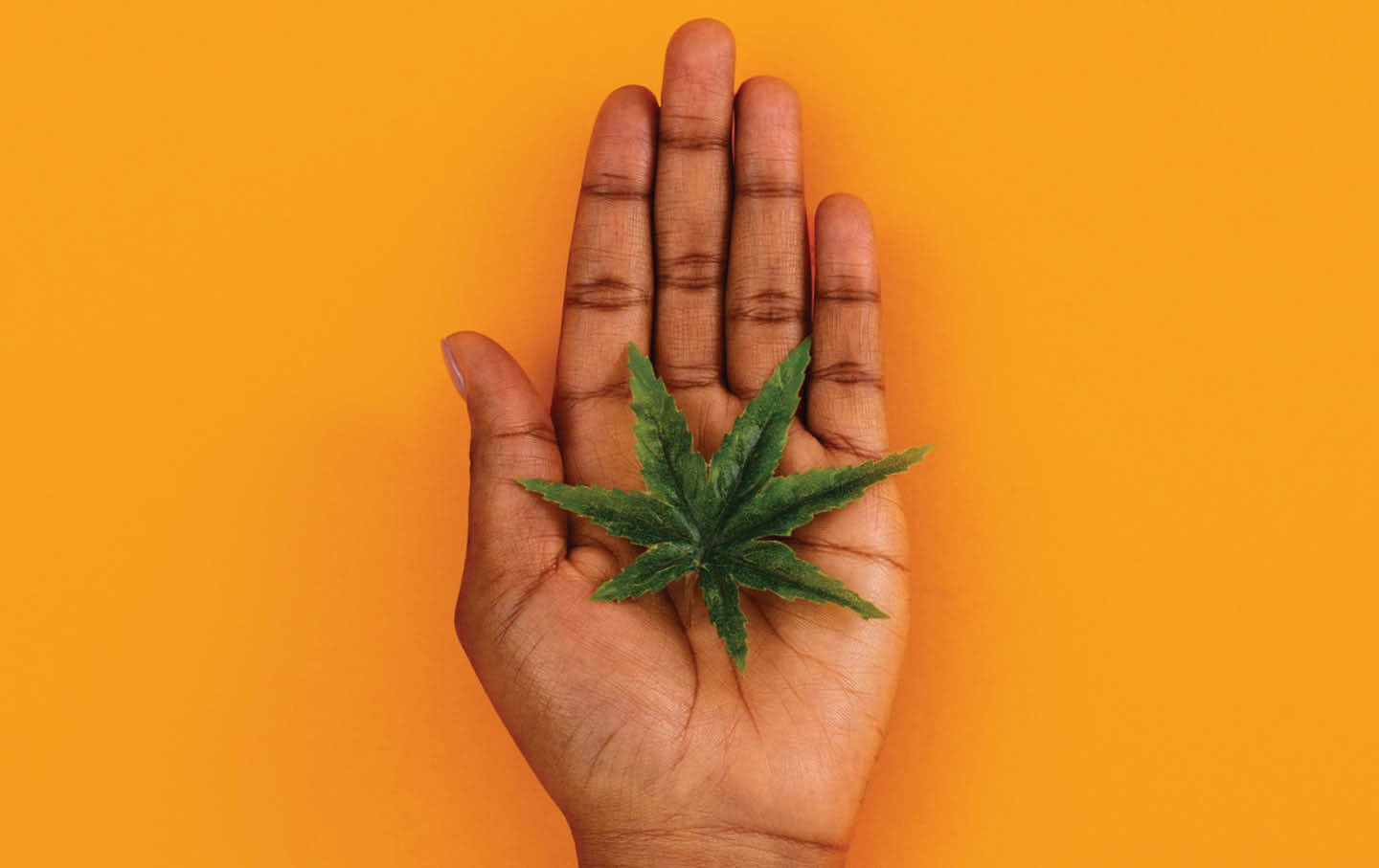 The War on Weed Decimated My Community—Will There Be Restitution?