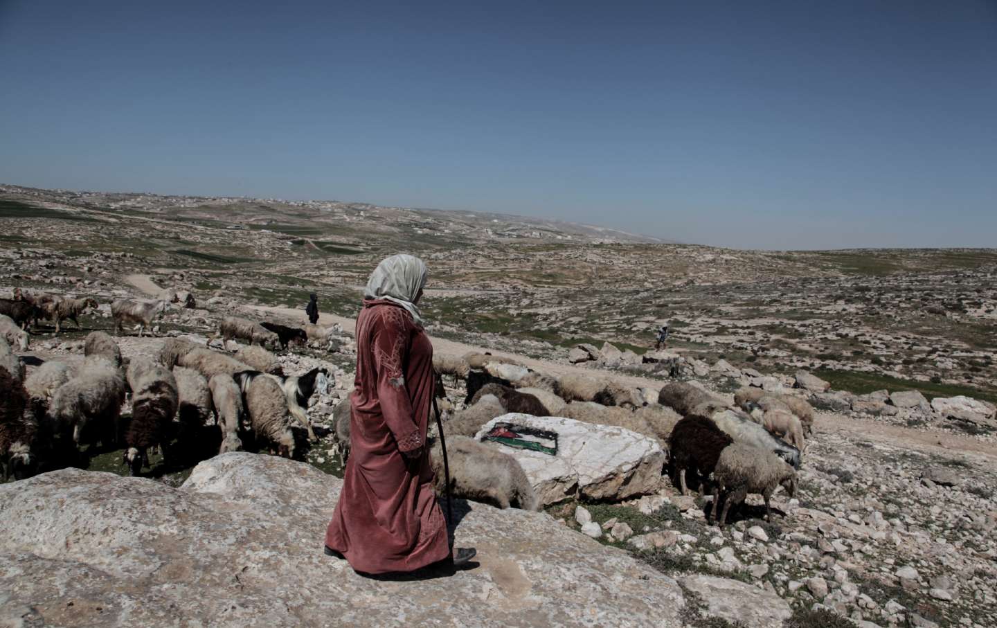 In Every Corner of Palestine, There Is a Story of Dispossession