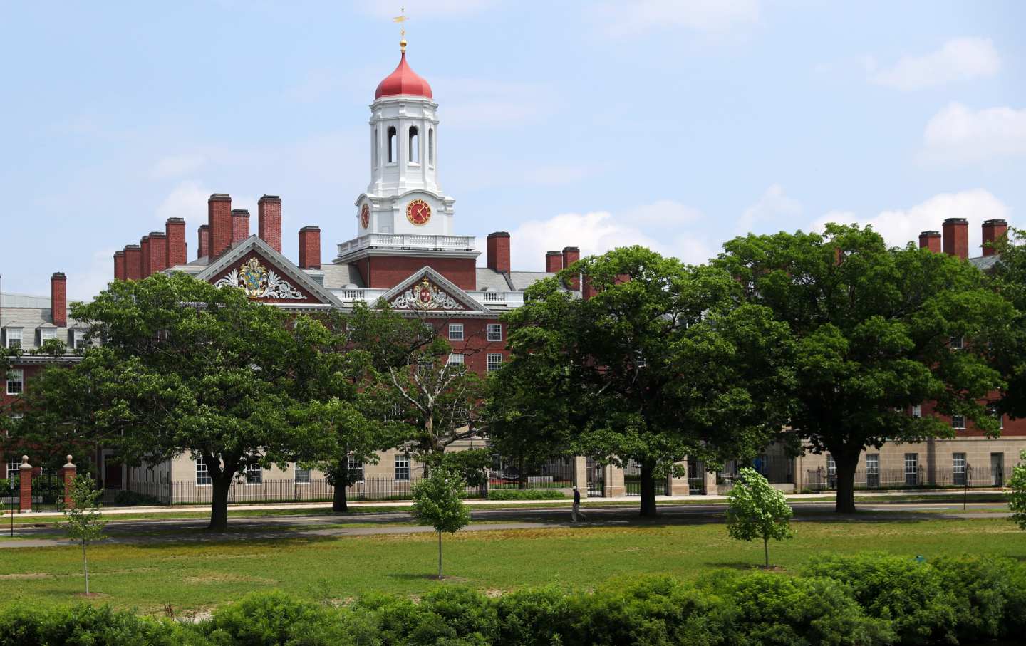 Harvard Ivy League