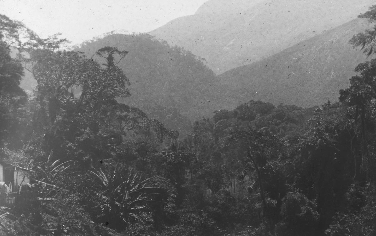 Near Petrópolis, Rio de Janeiro, Brazil