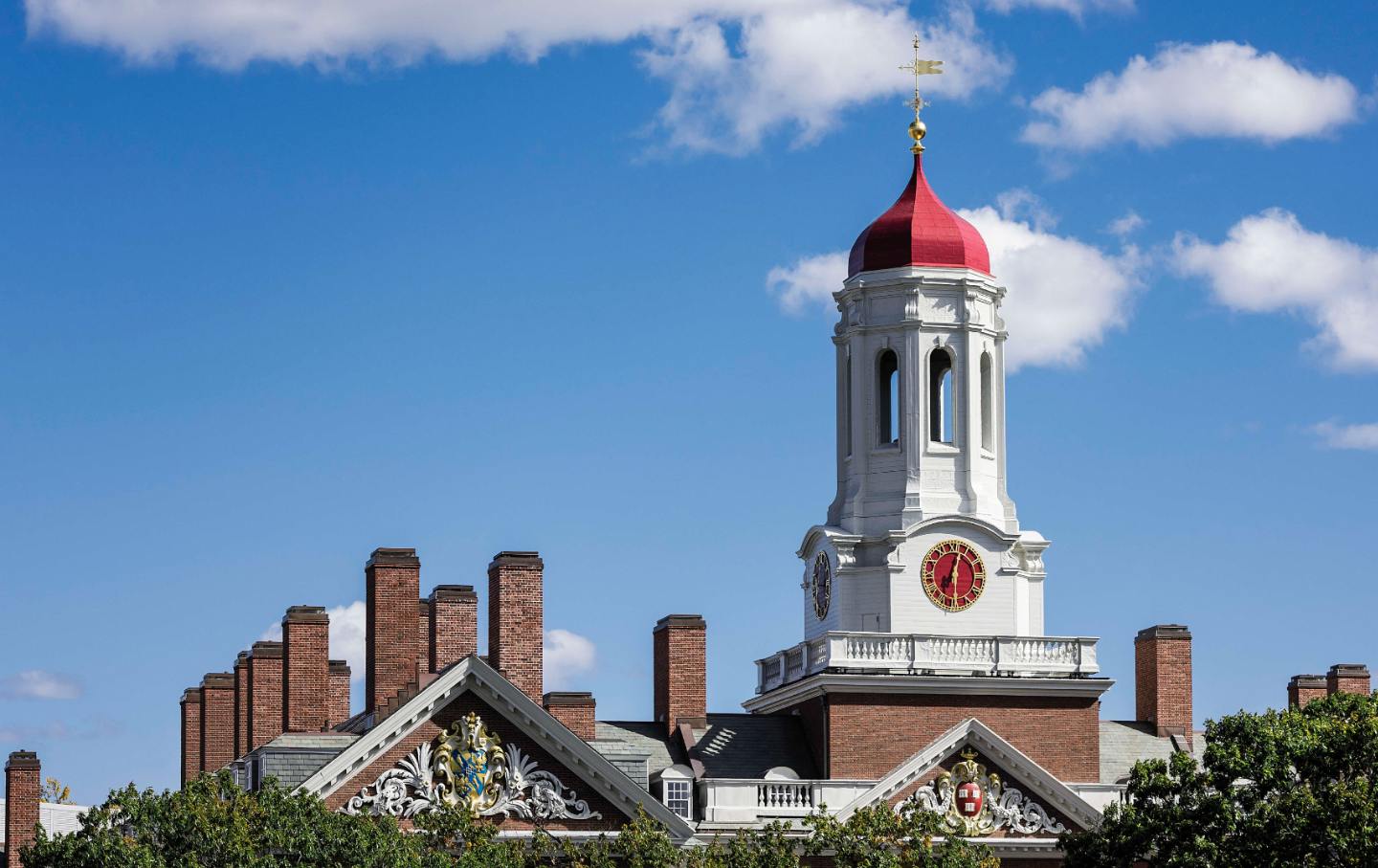 Harvard University