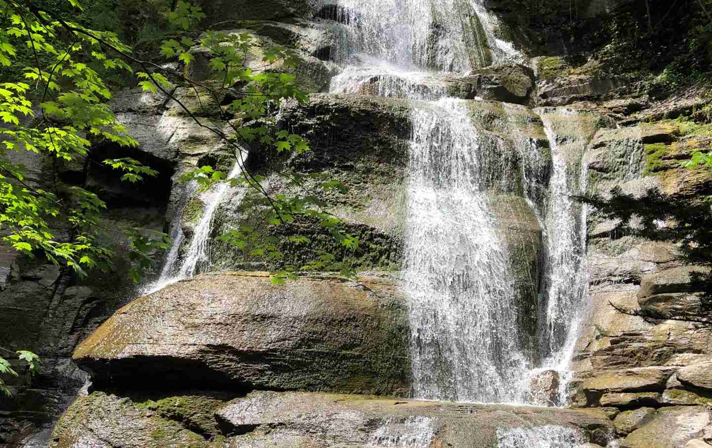 Streams of water cascade down mossy rocks..