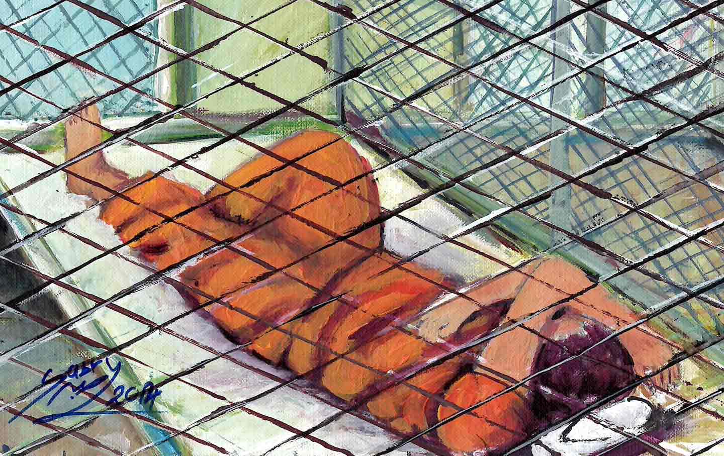 The Artwork of Guantánamo Detainees