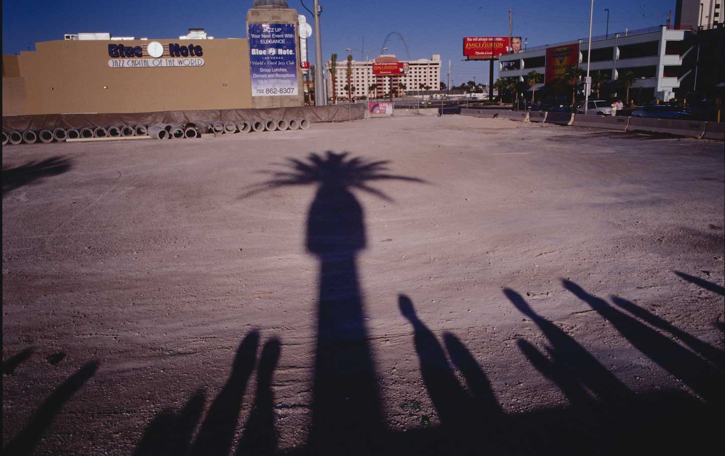 totem pole shadow