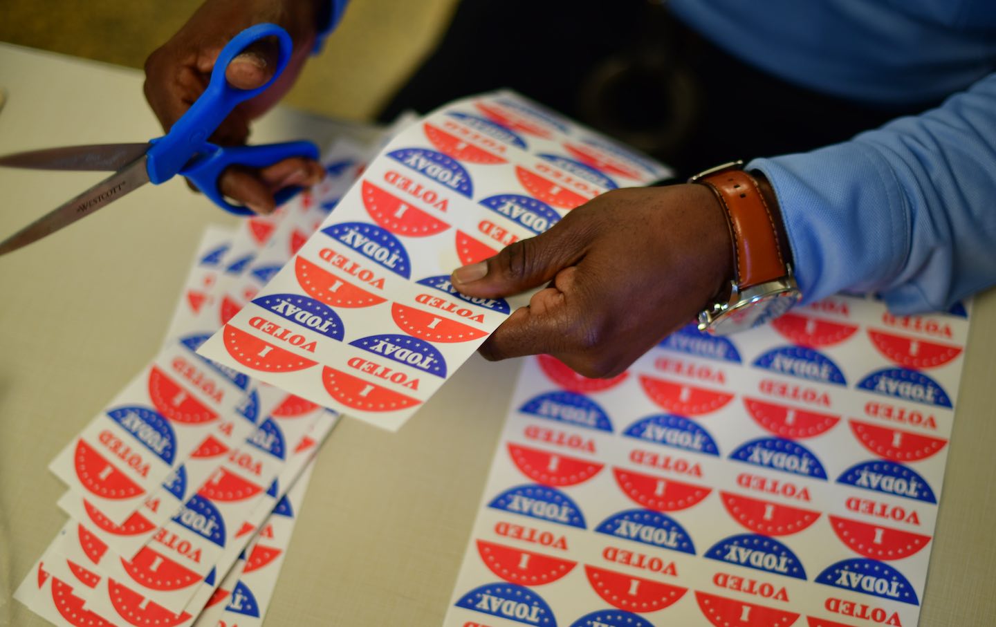 What’s Missing From Voting Data? Race.
