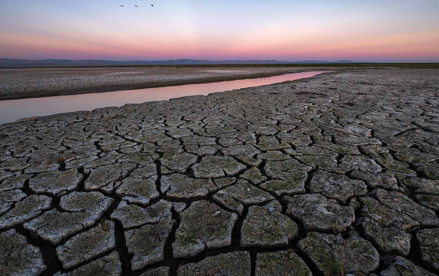 The Toxic History of the Salton Sea