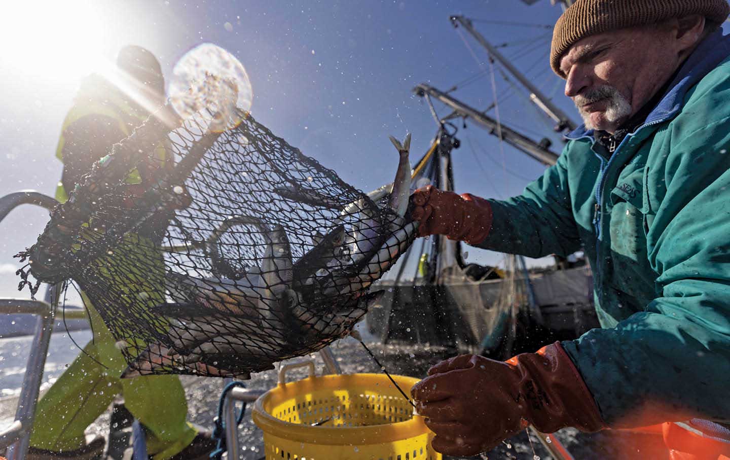 Paul Salomone, a fisheries management biologist