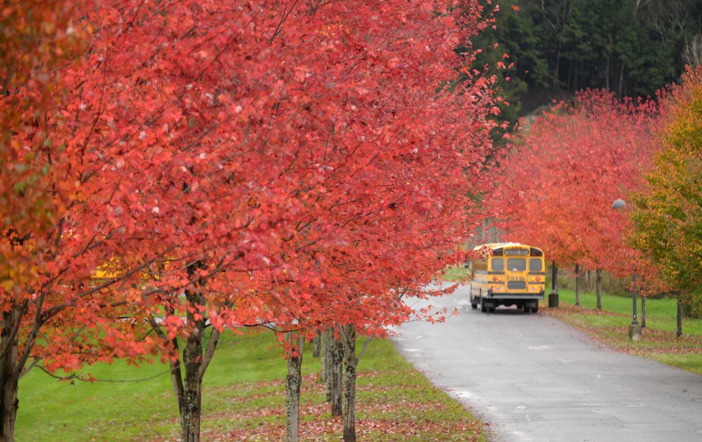 It Isn’t Populist to Defund Rural Schools