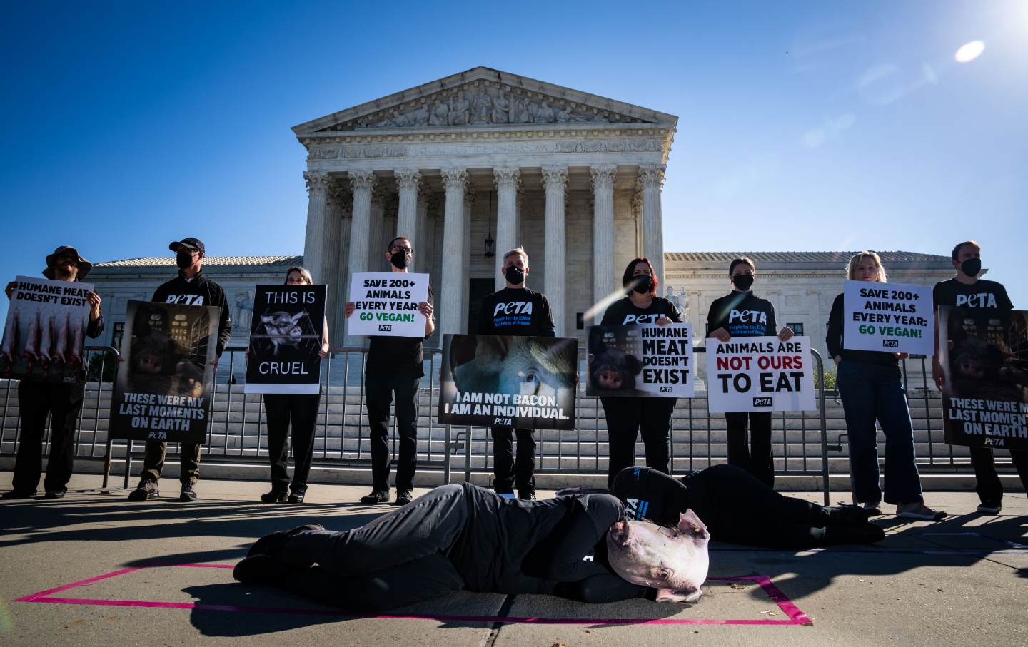 How a Supreme Court Case About Pigs Could Further Undermine… Abortion Rights
