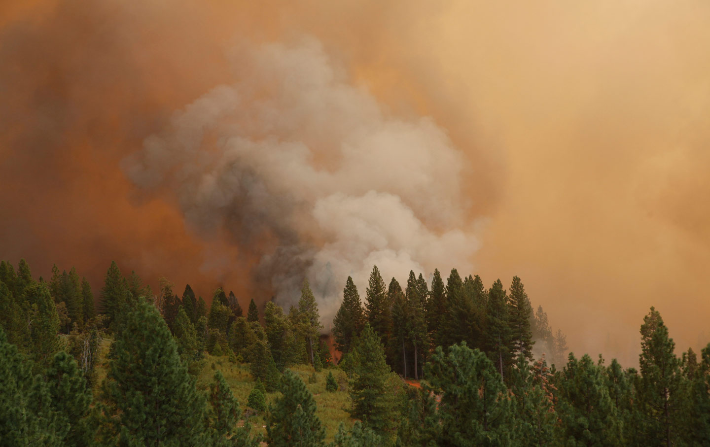 Smoke above a wildfire