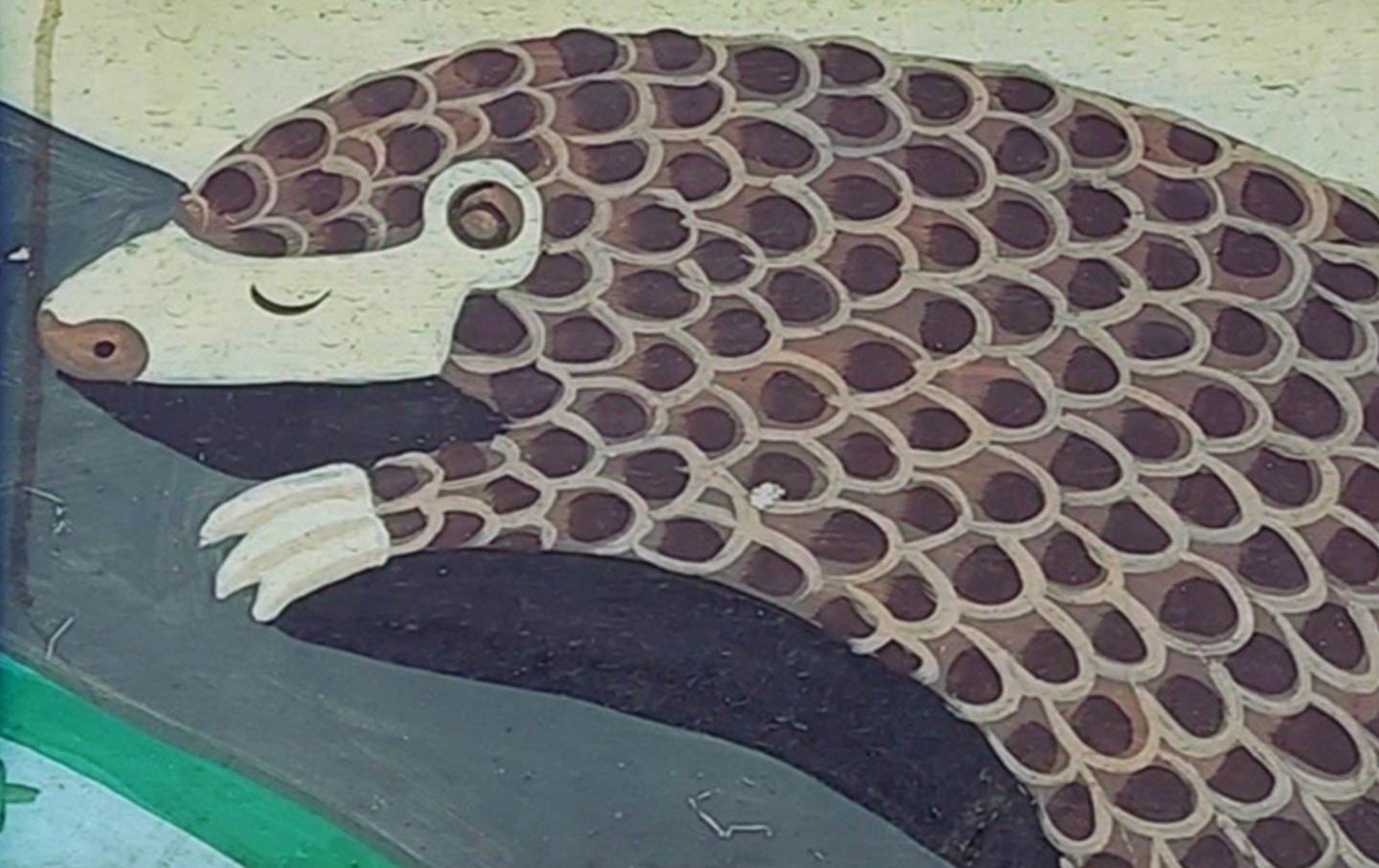 I Am Biodiversity, I Am Not Food