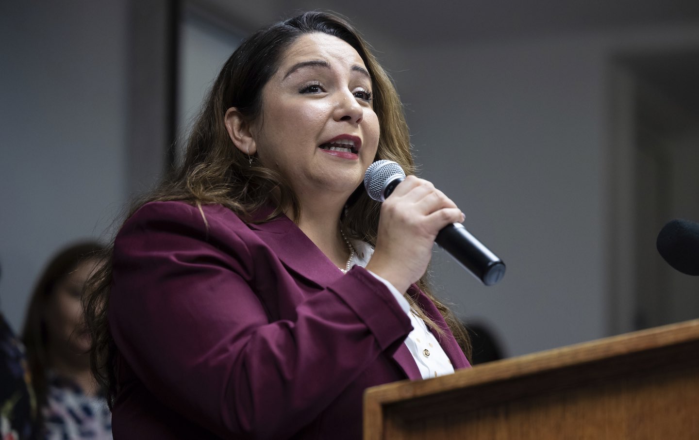 If You Want to Hear the Future of Democratic Politics, Listen to Delia Ramirez