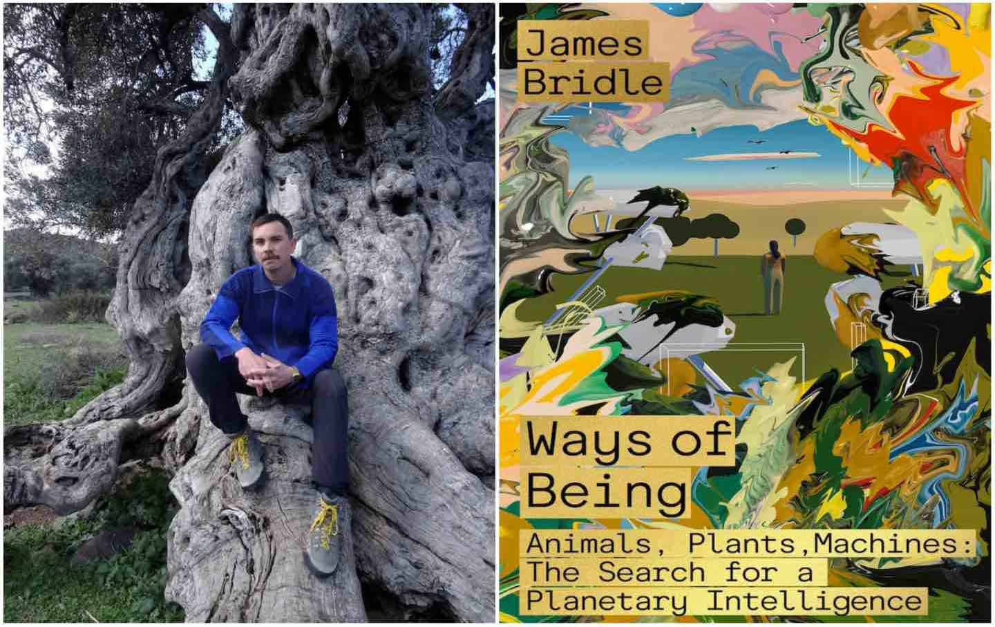 James Bridle’s Dream of a Cybernetic Forest
