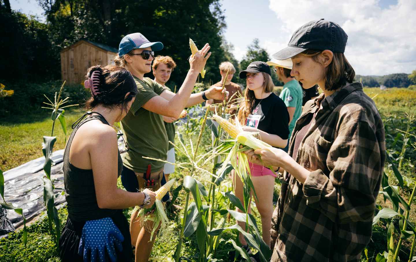 The Dartmouth Organic Farm