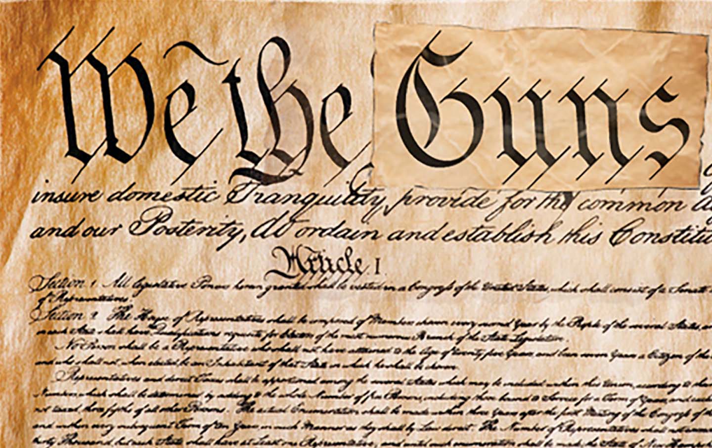 The Gun Industry’s Constitution