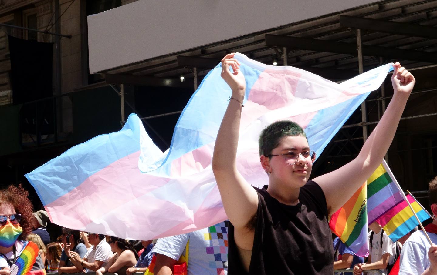 Trans flag