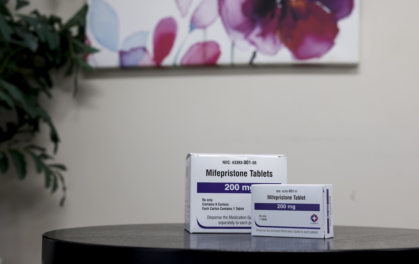 Abortion pill mifepristone