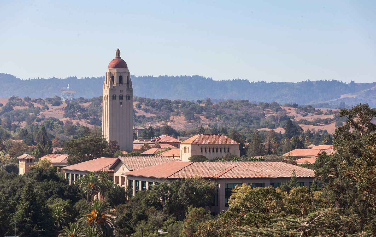 Stanford University