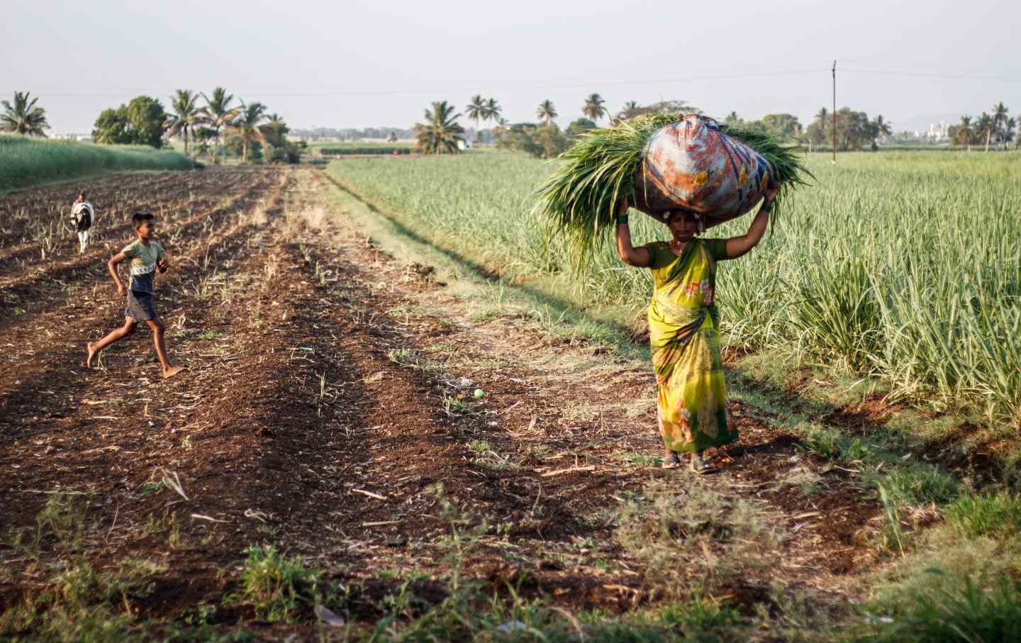 Kalpana Solankar, 46, a farm worker from Arjunwad village, carries a heavy load of fodder on her head.