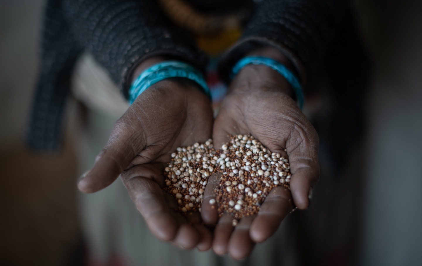 Photo of cupped hands holding grain