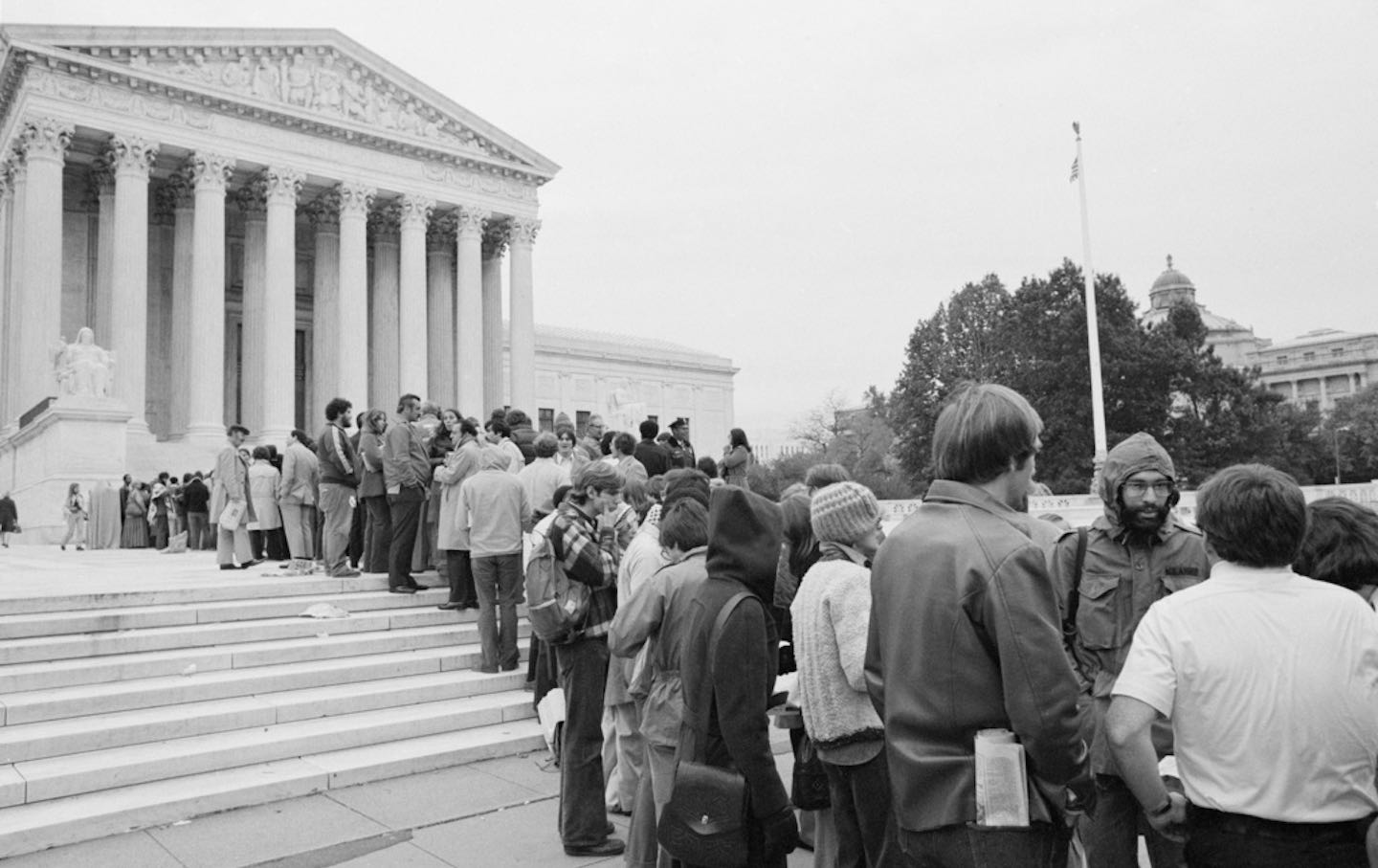 Bakke Case Spectator Line