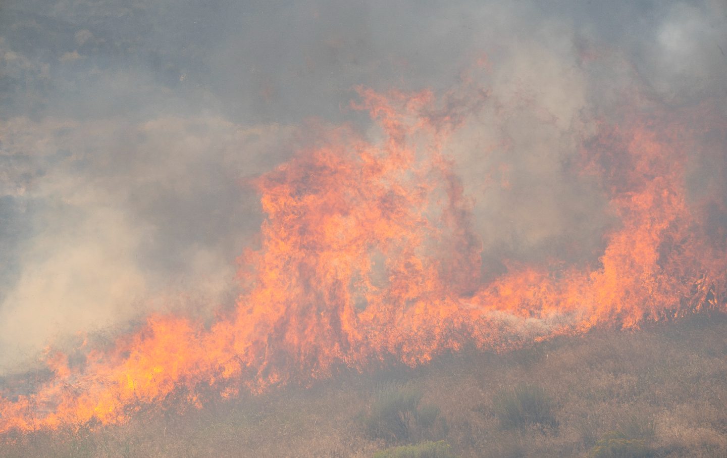 Flames move through vegetation as fire crews battle a new fire that started near the Manastash Vista Point along Interstate 82 on July 23, 2023 in Ellensburg, Washington.