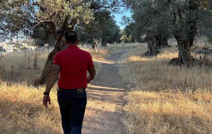 Amro walking through the olive trees outside his home.