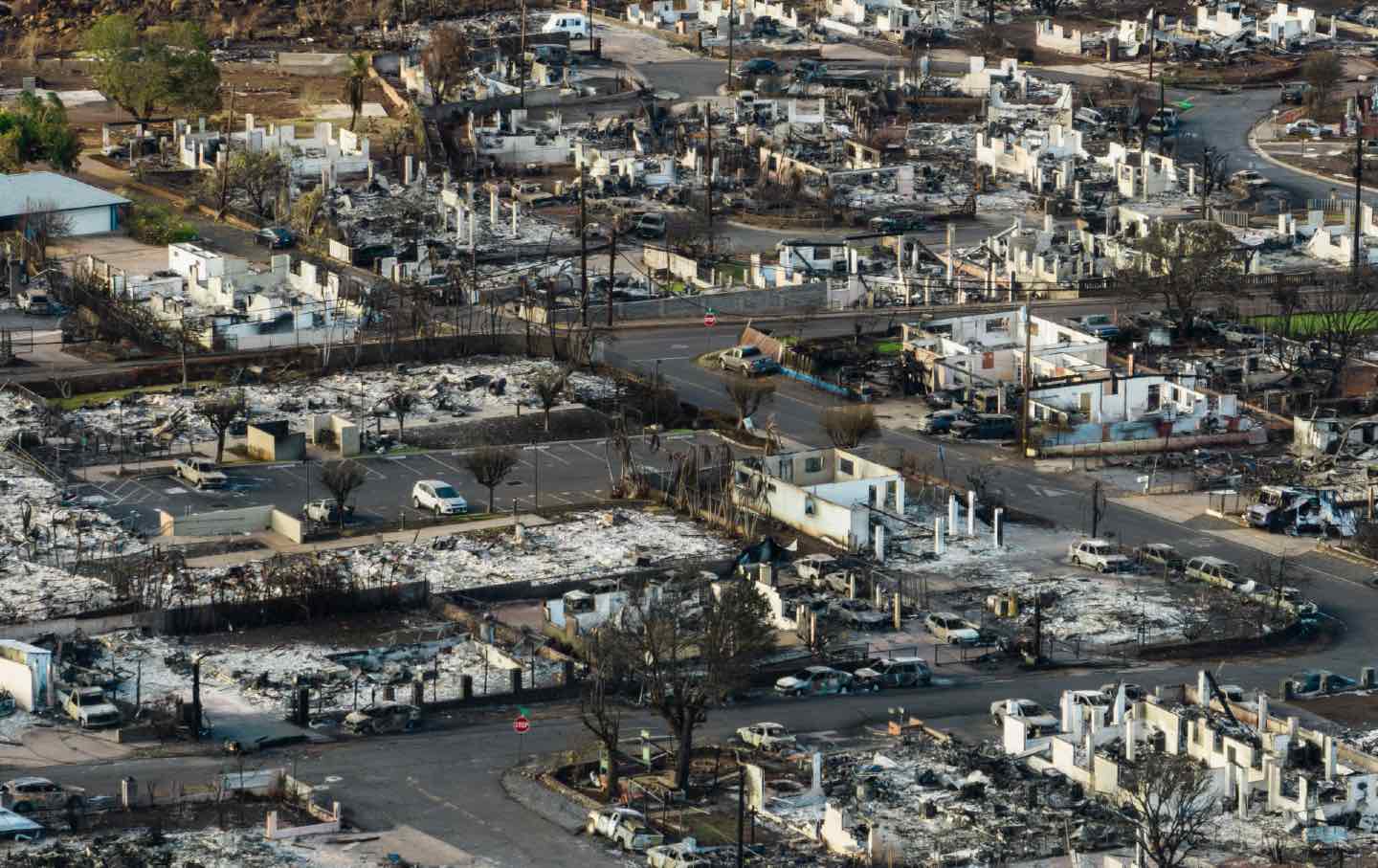 houses, neighborhood destroyed by lahaina hawaii fires