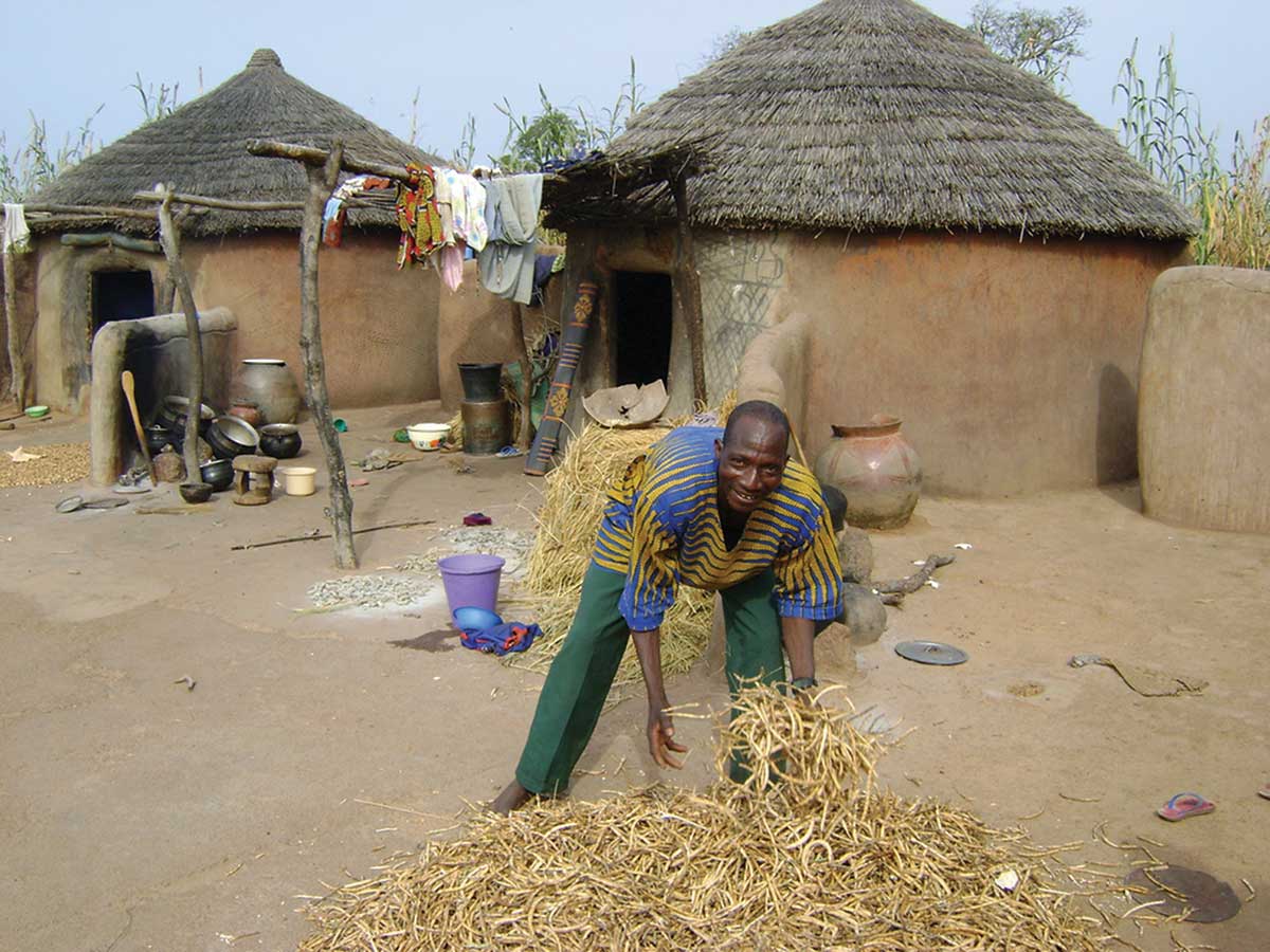 Colonialist Food Economy