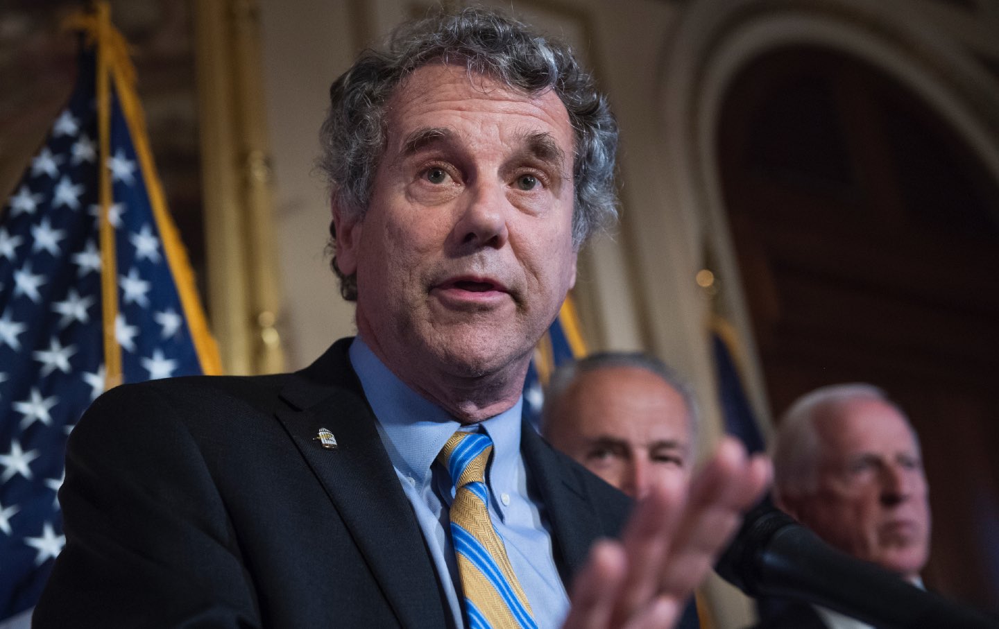 sherrod brown conducts a press conference on background checks in 2019