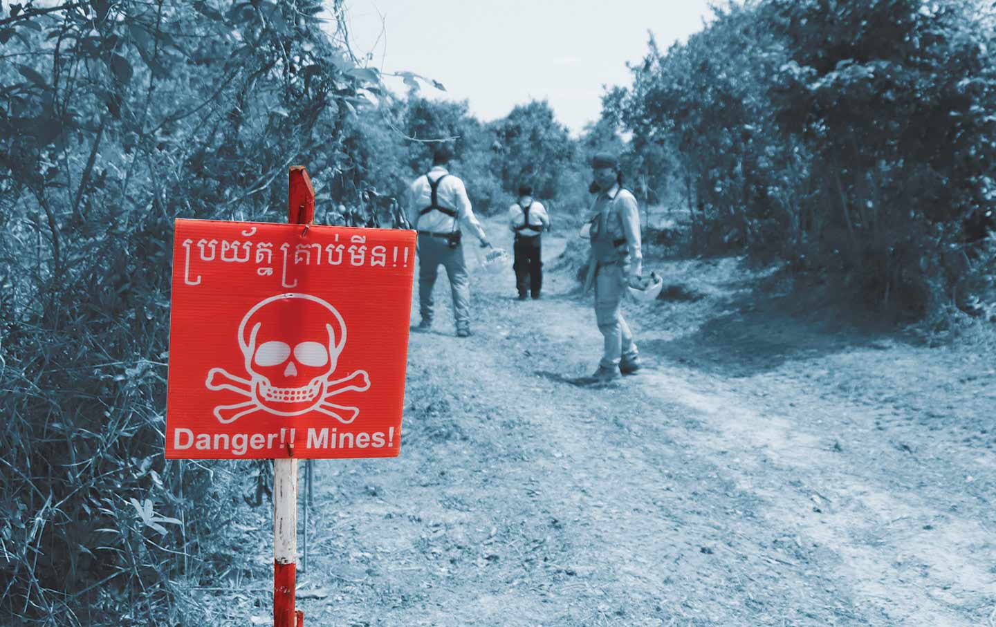 Cambodia is afflicted with some of the highest concentrations of land mineson earth.