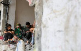 All We Want in Gaza Is to Live
