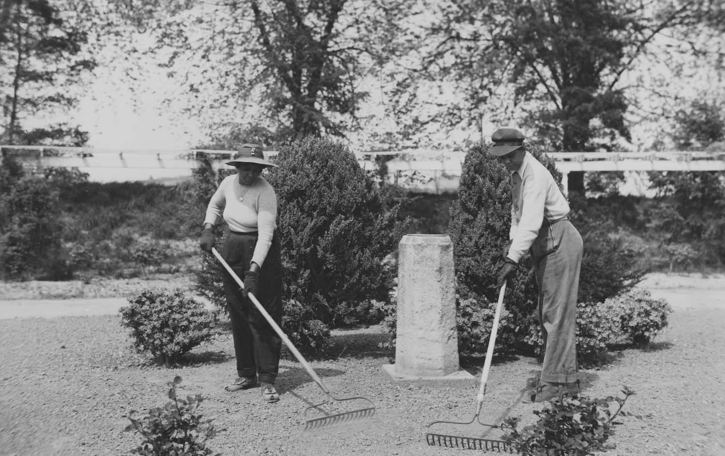 African American women employed as gardeners in the rose garden of the Botanical Gardens, Washington DC, 1943.