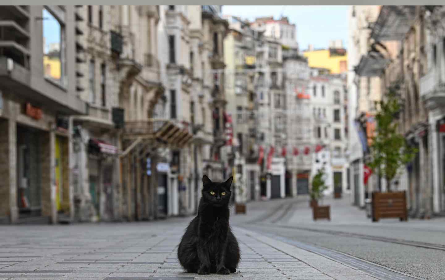 Surreal Tales From Erdoğan’s Turkey