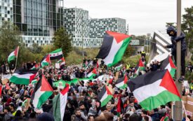 Gaza &mdash; Where Is the Law?