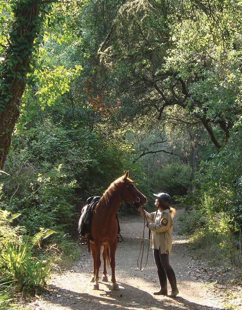 Jane Hirshfield with Flame, her chestnut gelding and companion of 26 years, until his death last December.