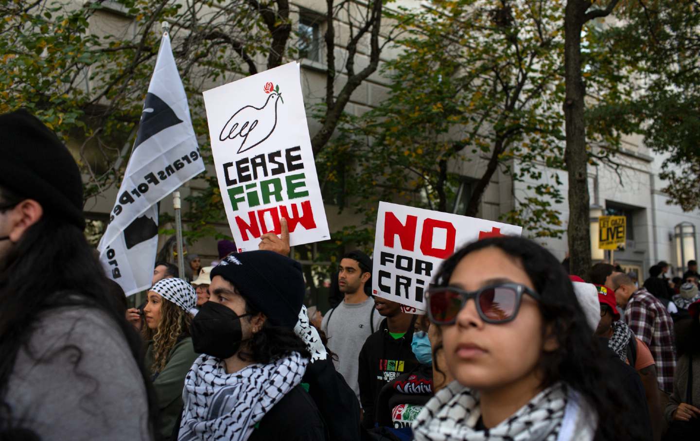 Demonstrators gather during the National March on Washington: Free Palestine, calling for a cease-fire between Israel and Hamas in Washington, D.C.