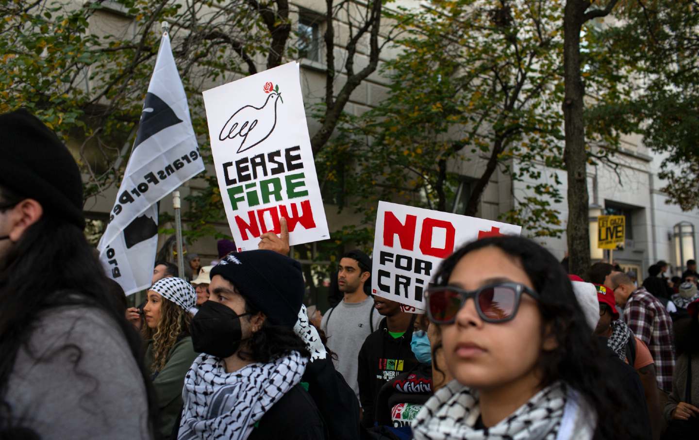 A demonstrator holding a sign with Ceasefire Now written on it