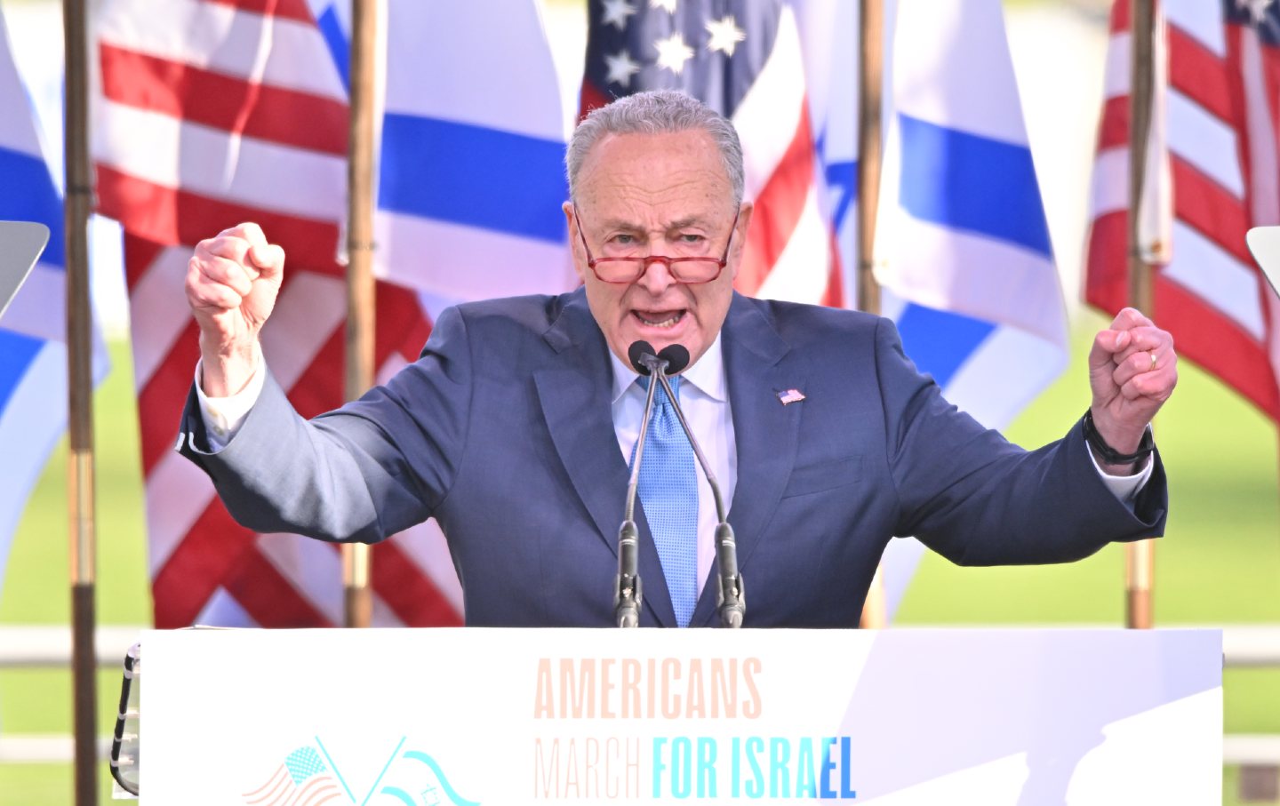 Chuck Schumer march for israel/ israel-palestine/ gaza