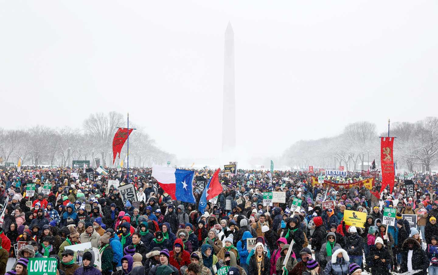 A wide-frame photo of marchers at the March for Life in front of the Washington Monument, on a snowy, foggy day.