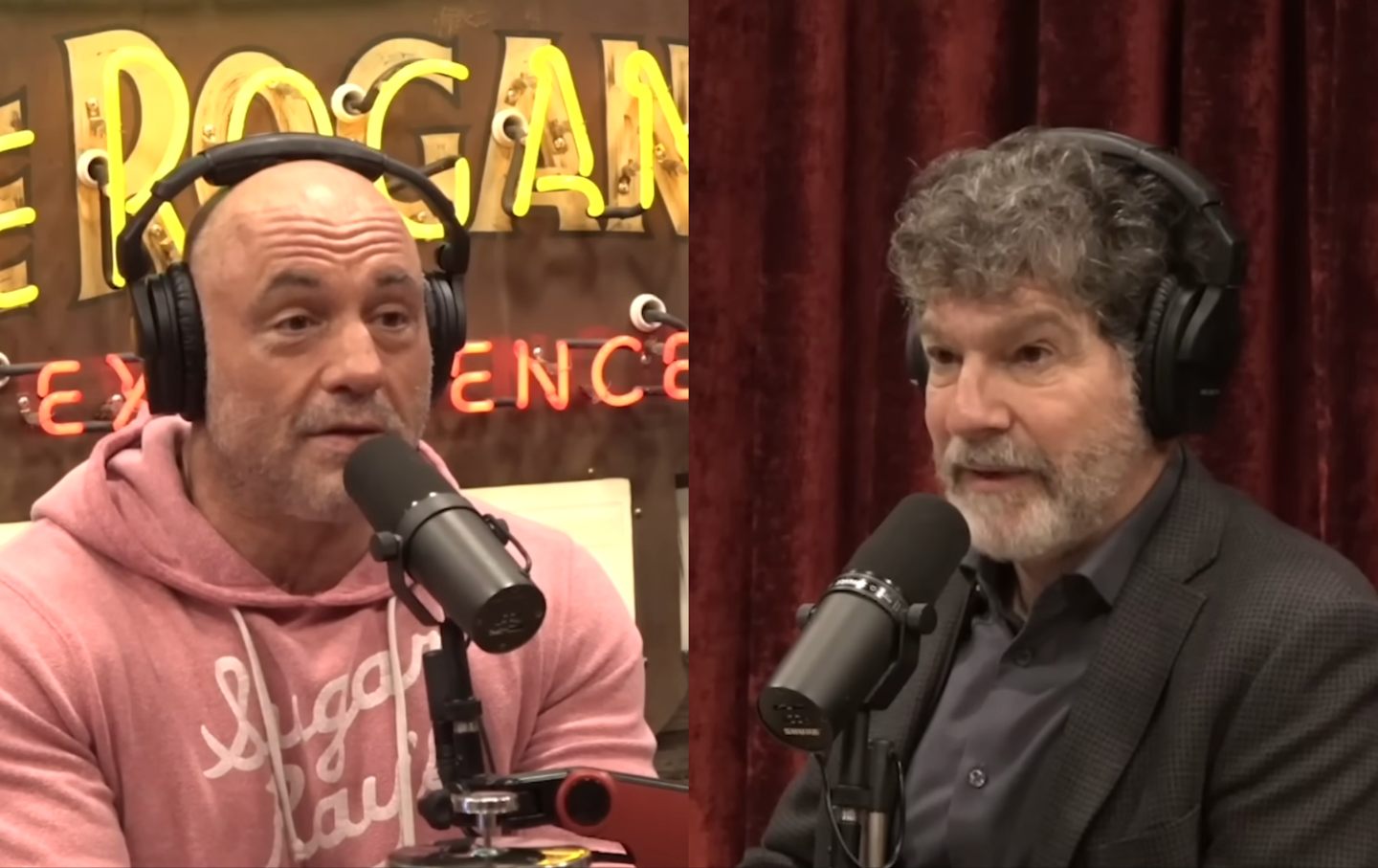 Joe Rogan and Brett Weinstein.