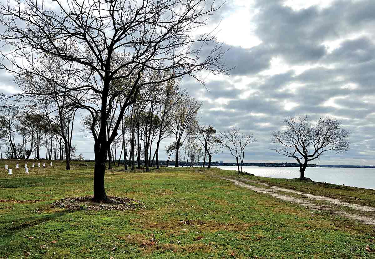 Hart Island, today managed by the Parks Department, has become a serene landscape, with its weeds pulled, grass trimmed, and crumbling buildings torn down.