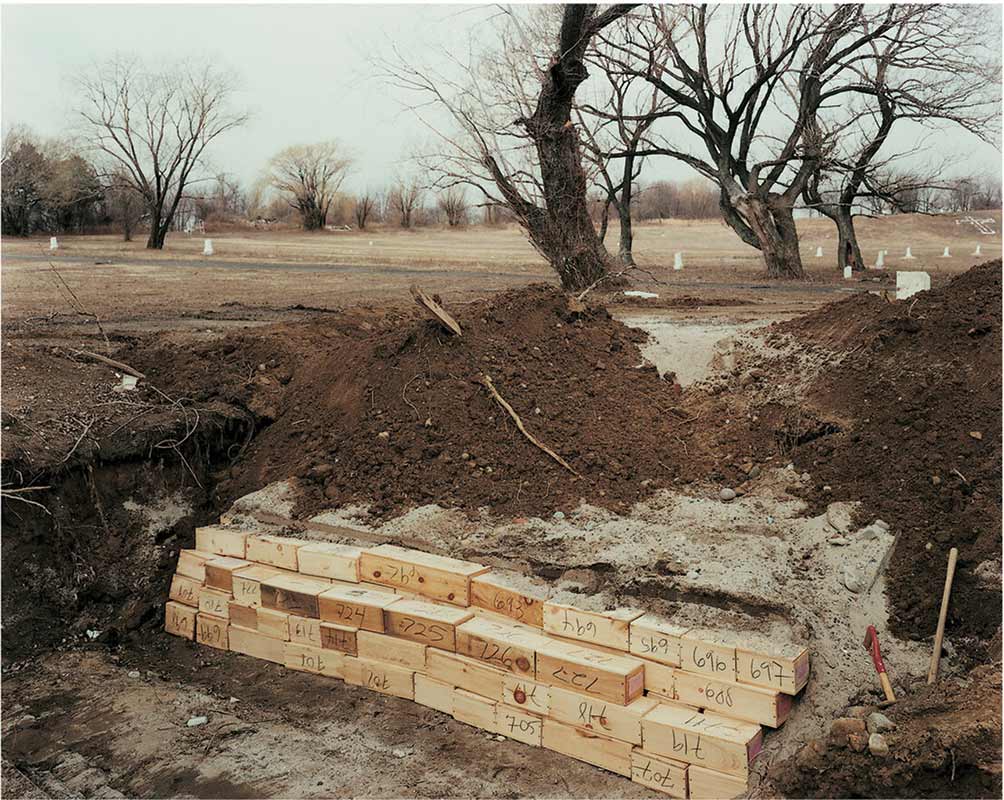On Hart Island, coffins for babies are stacked in graves.