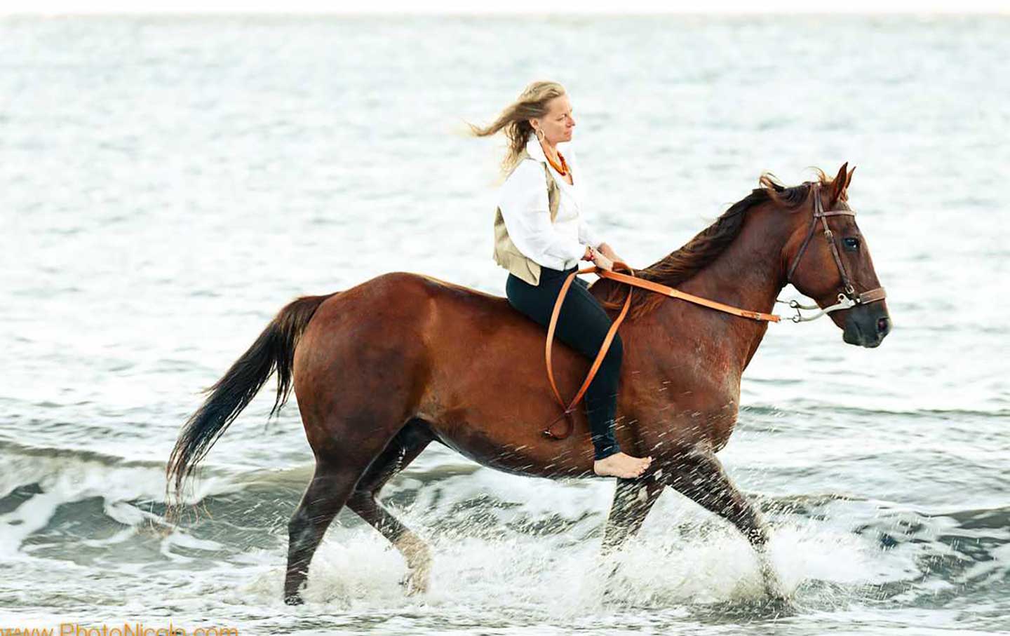 Jane McAlevey and her horse, Jalapeno.