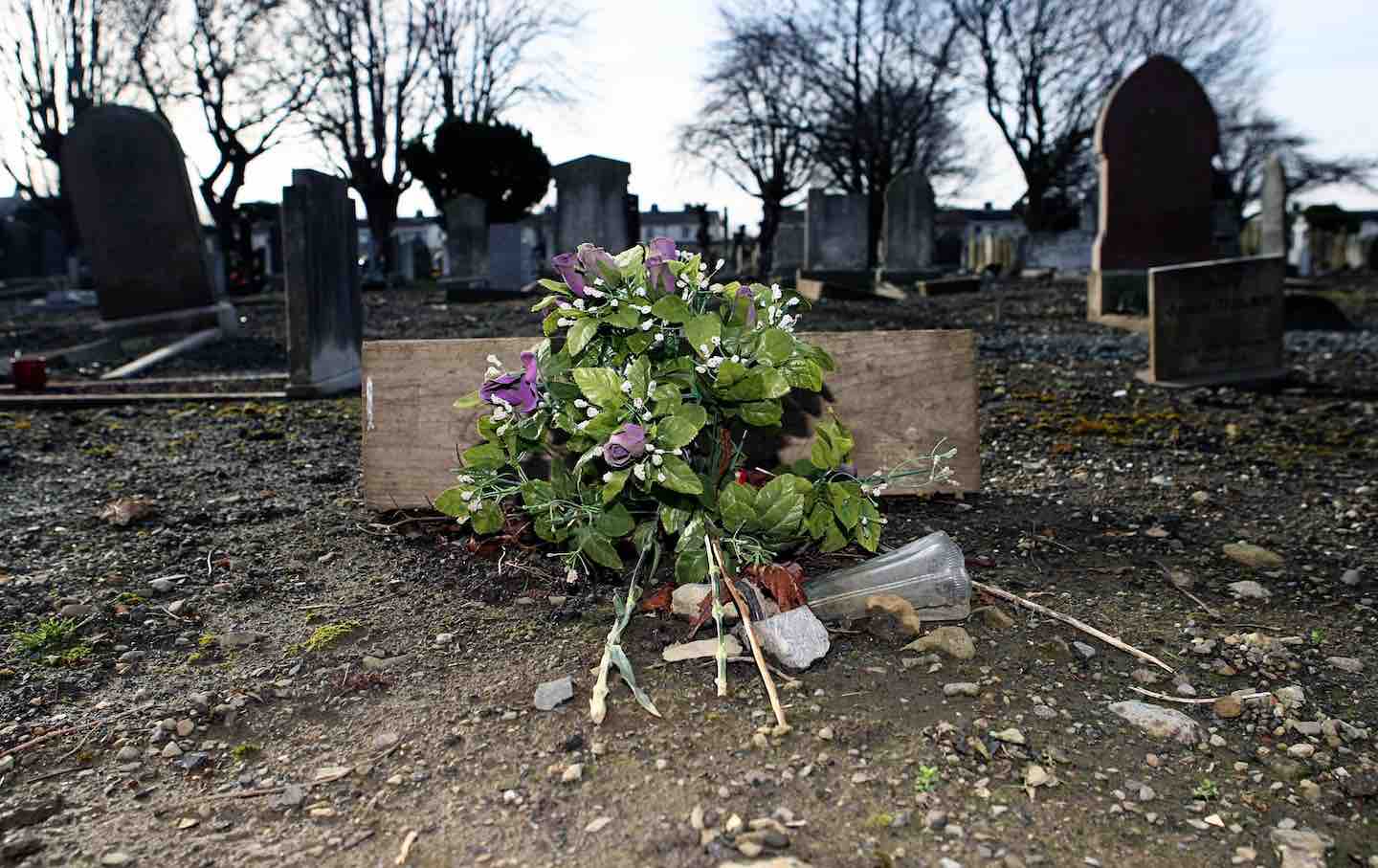 A bunch of flowers marks the spot where 40 infants who died in the Bethany mother-and-baby home were buried in unmarked graves at Mount Jerome graveyard in Dublin.